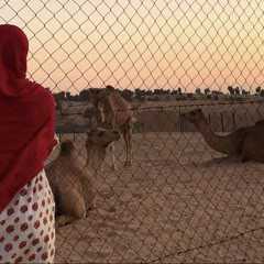 ‎⁨حُب البداوه في شرايني جرا .
