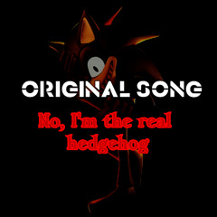 No, I'm the real hedgehog