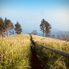 The Never Ending Search for Somewhere