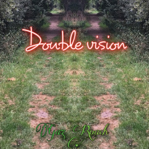 Double vision