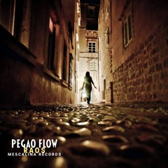 Pegao Flow ( Original Mix )