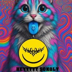 HEYYYYY SOKOLY (Cat On MDMA Remix)