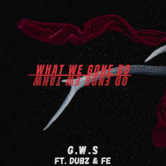 What We Gone Do (ft. Dubz & Fe)