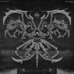 PREMIERE - Maze DK - Tramp The Street (Original Mix)[MMVA03]