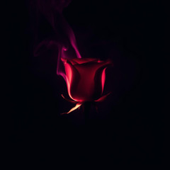 After Dark Confession