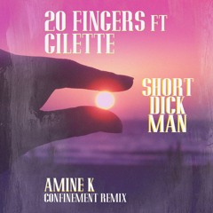 20 Fingers Ft Gillette - Short Dick Man (Amine K Confinement Remix)