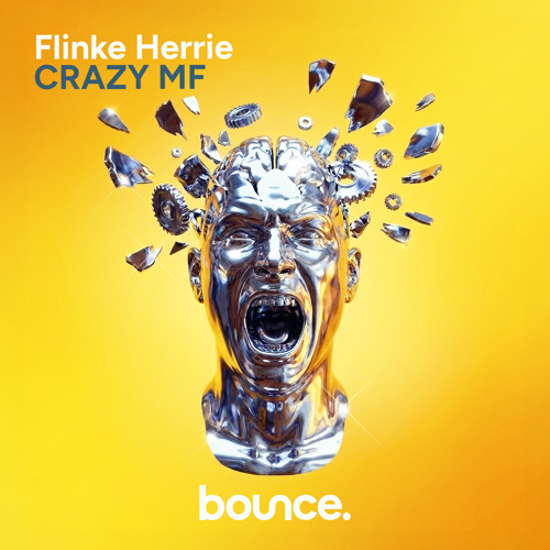 Flinke Herrie - Crazy MF (BOUNCE)