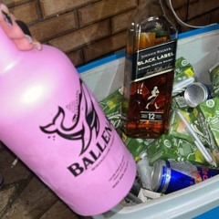 MTG - BALLENA 2.0 Ft. MC GW ( DJ GL DA GALO )