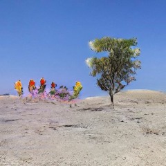 pretty colors (01ashes)