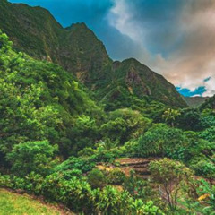 Best Things To Do In Central Maui Tours Review