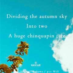 Dividing the autumn sky [naviarhaiku489]