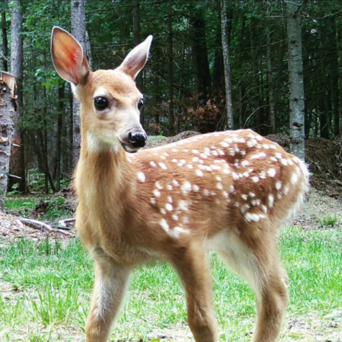 يا من هواه أعزه وأذلني - الشيخ حسام - ساحة السادة العوفية الشاذلية - مايو 2025