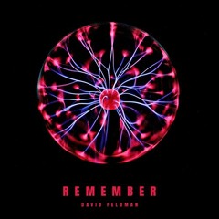 David Feldman - Remember