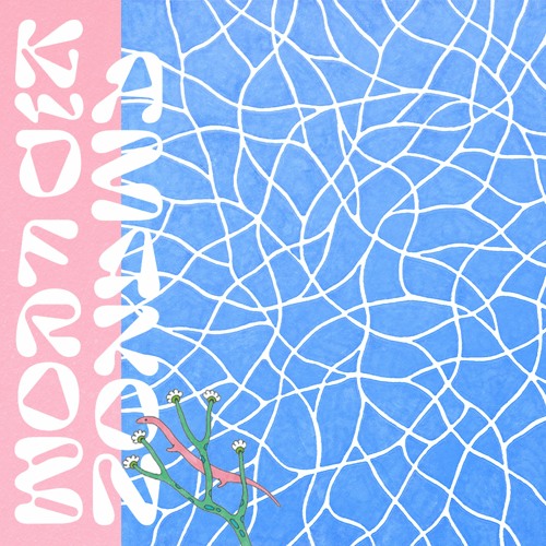 Kid From Amazon - Nunca Esperei Por Ti (Le Frit Sad Perreo remix)