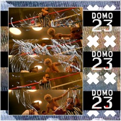 Zion-Don - Domo 23 (RIDDIM  Flip)