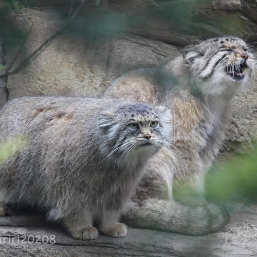 Stream Daniel Caesar Best Part On Bbc Radio 1xtra By Jaydamned