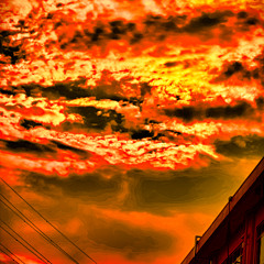 秋の林の顔 Demo