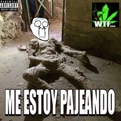 ME ESTOY PAJEANDO (PREVIEW)