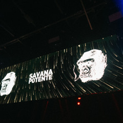 Jamahr & Cipi@Milk 25.01.25 (Savana Potente bday w:Ricardo Villalobos)