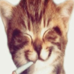 żegnamy cisze witamy nisze 🥹✌️