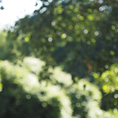 1 2 on the clock (times gone by)