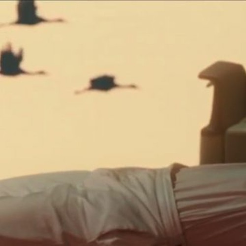 Delphoi | anna_ruff | MoDem Festival 2019 | the resistant evil