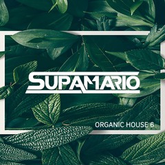 SUPAMARIO - ORGANIC HOUSE 6