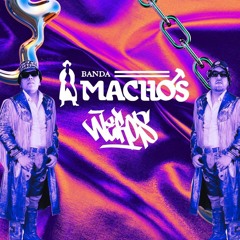 Banda Machos - Al Gato y Al Ratón (Los Ñeros Remix)