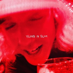 YUNG N DUM (prod. WOLFGANG PANDER)