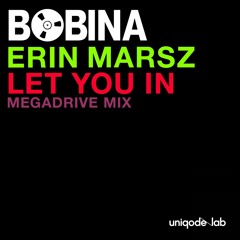 Let You In (Megadrive Extended Mix)