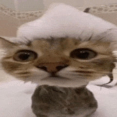 Remyboyz Jersey club remix (stopping ur struggle of finding this song)