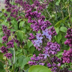 Accountability (Freestyle)