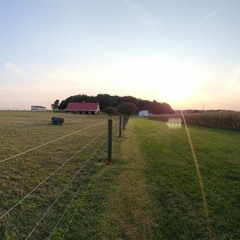 Every Clown has his Day/Bunun doğru çevrilmediğini anladığınızda oldukça ürkütücü/Not the End Bozo