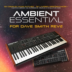 Sequential DSI Rev2 Ambient Essential Sound Bank By CO5MA