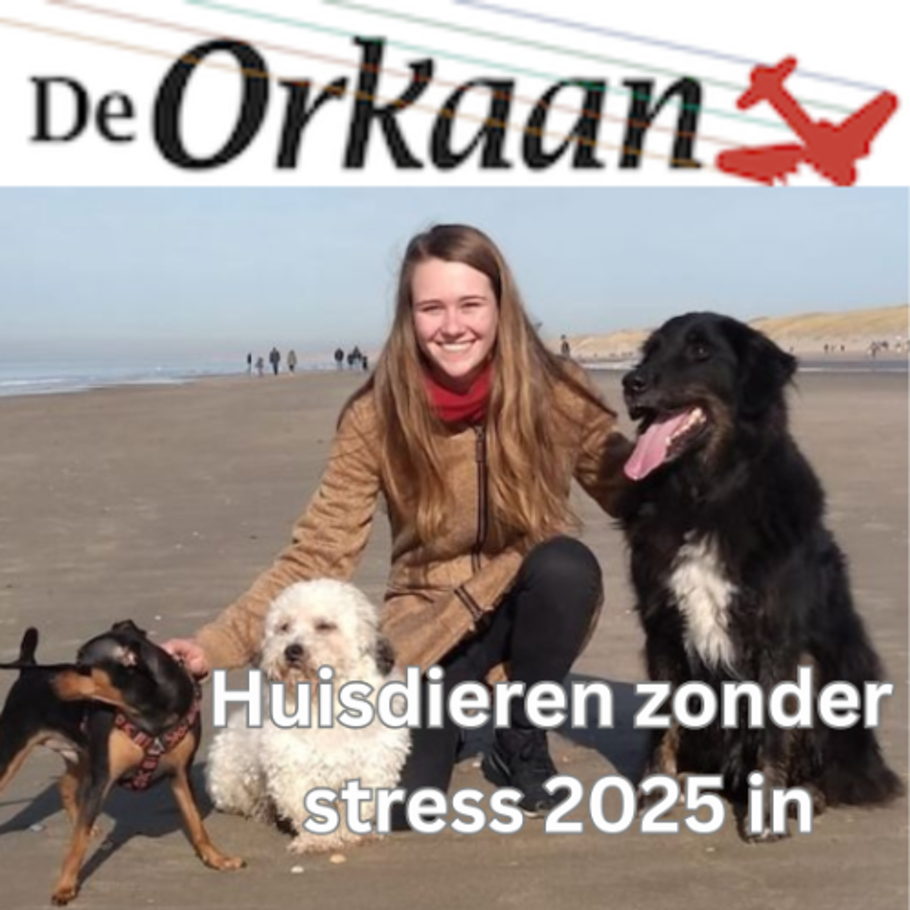 Huisdieren zonder stress het nieuwe jaar in episode artwork