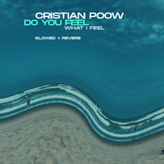 Cristian Poow - Do You Feel (What I Feel) [Slowed + Reverb] Free Download