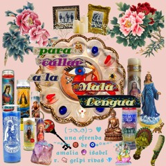 lil jnt =＾● ⋏ ●＾=