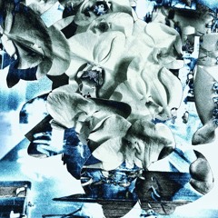 trade doll hypothesis b2b with Stel <3