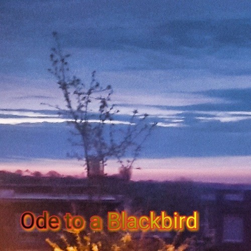 Ode to a Blackbird
