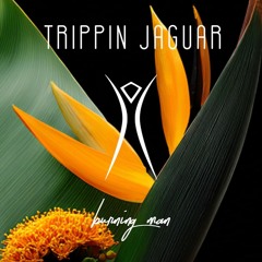 Trippin Jaguar DJ Set @ Burning Man 2025 - Sinaptics Lounge