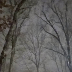 it followed me (dead spyro)