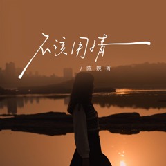 不该用情 (DJ版伴奏)
