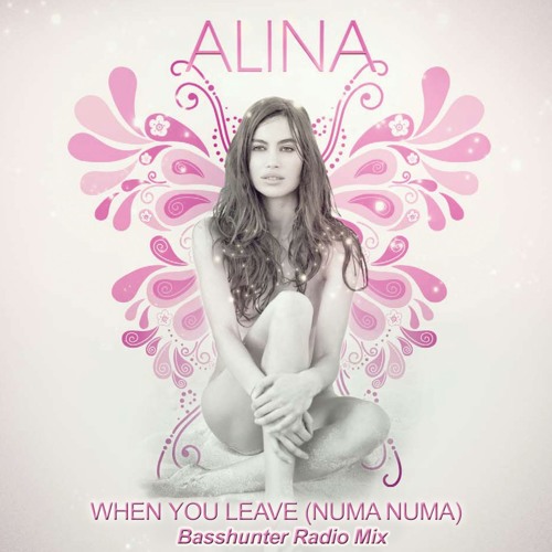 When You Leave [Numa Numa] (Basshunter Radio Mix)