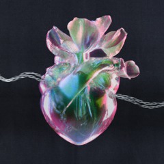 UNDERCOVER LOVERGIRL