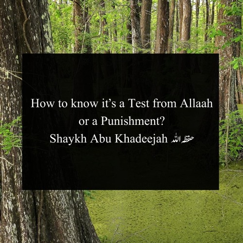 How to know it’s a Test from Allaah or a Punishment? - Abu Khadeejah