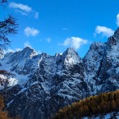 always warm in our hearts_20251030