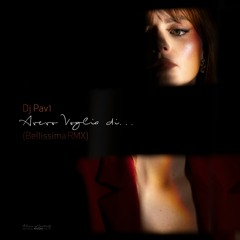 Dj Pav1 - Avevo Voglia Di...(Bellissima Rmx)