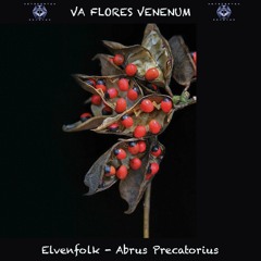 15. Elvenfolk - Arbus Precatorius (213 BPM) VA Flores Venenum - Metacortex Records