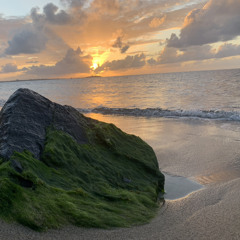 ED NAPOLI - I’m Not Your (BPM BRAD RMX)