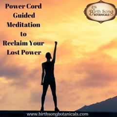 Guided Meditations